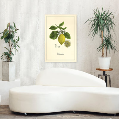 Citron et fleurs rétro, art floral rétro