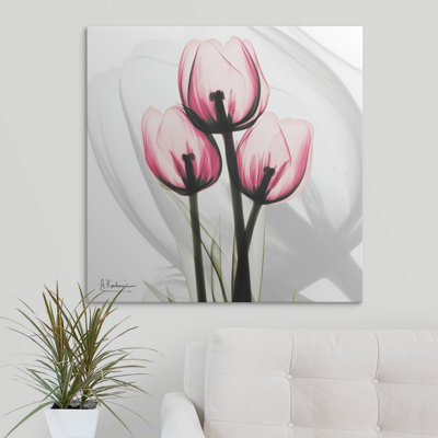 'Tulips X-Ray by Albert Koetsier Photographic Print