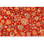 Tapis oriental rouge / beige / vert en laine noué à la main 6 pi 1 po x 9 pi 2 po Palladino