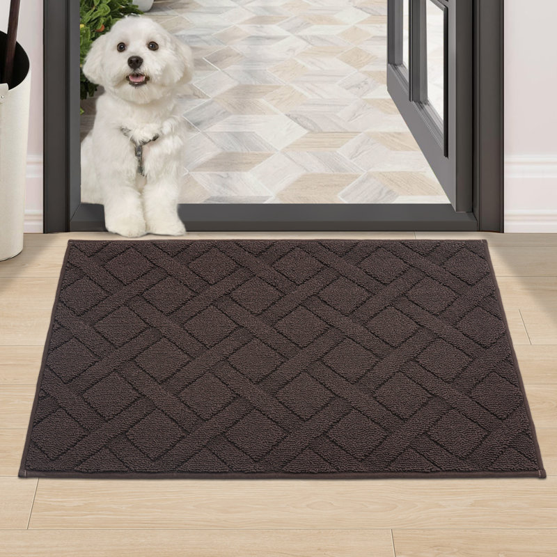 Dioselina Non-Slip Indoor Doormat, Brown, 36" W x 60" L