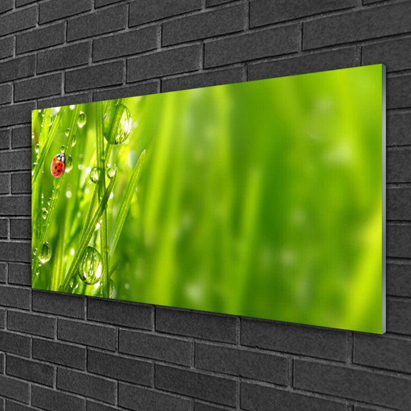 Grass Ladybug Nature - No Frame Print on Glass