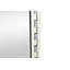 Jett Accent Mirror