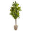 Arbre dracaena artificiel 55,5 po en pot
