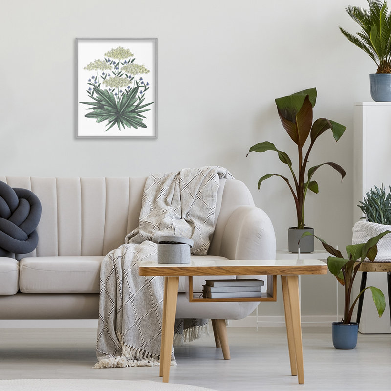 «New Roots», une esquisse rétro giclée par Cecilia Battaini, H 14 po x l 11 po, Estampe numérique Farmhouse