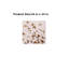 «Pink Bird Sparrow», reproduction sur toile, art mural moderne de 24 po x 24 po