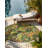Canopy Taresha Rug-1636562801