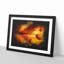 Leaf In The Autumn Paint Splash - Picture Frame Graphic Art-56865714-56865717