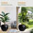Kute Nest Indoor/Outdoor Fiberstone Globo Ball Planter - Tricorn Black 16"D (Opening 10.7")-114366456-114366449