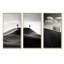Paysage de désert noir et blanc-239239481-239239479