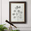 «Delicate Sage Botanical I», peinture sur toile encadrée-54976420