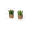 Ensemble de 2 plantes succulentes à ficelles artificielles, plantes de queue de faux Burro dans des pots de ciment brun à texture tissée, décoration de table Boho
