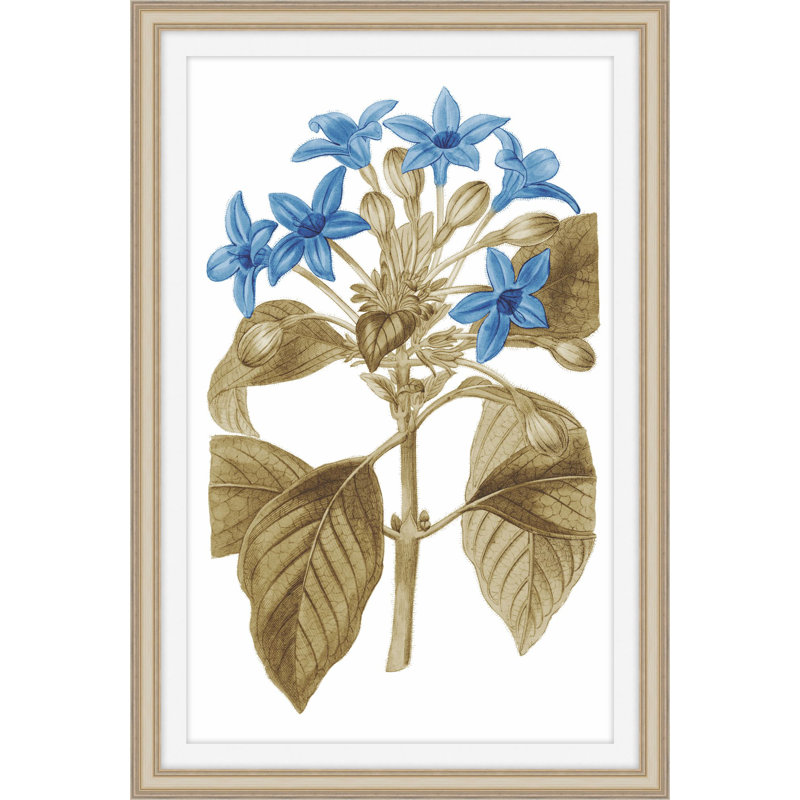 Midsummer Zeal 2 Print by Art House Studios, 31" H x 21" W x 1" D