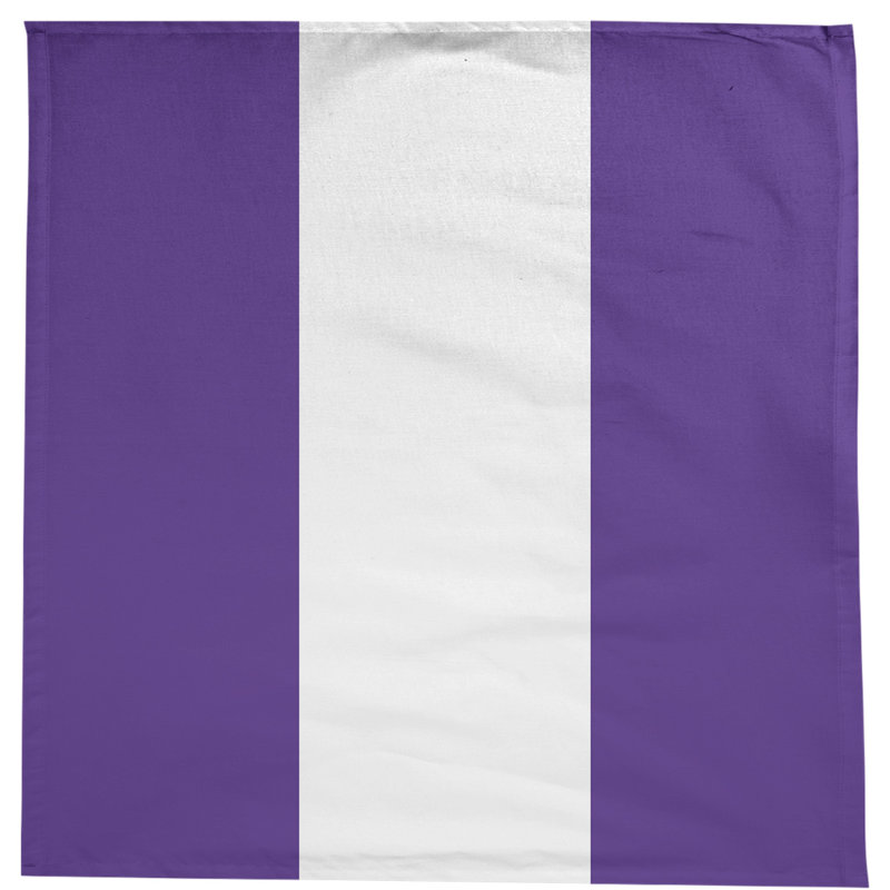 Nappe Clemson, Evanston Cat Purple/White/Purple