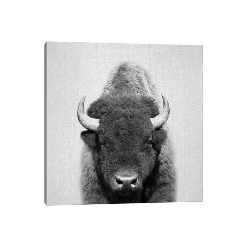 «Buffalo», reproduction d'art, H 48 po x l 48 po x 1,5 po, Toile tendue