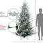 Sapin de Noël givré-63647326