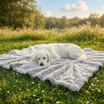 Couvertures convenant aux chiens de taille moyenne à grande. Lavable. Couverture moelleuse et pelucheuse pour chats. Jeté pour chiots pour meubles. Fabriqué en molleton de polyester. Peluche exceptionnellement douce pour les animaux de compagnie, les chatons et les toutous. Couleur: gris. Dimensions: 50 po x 60 po.