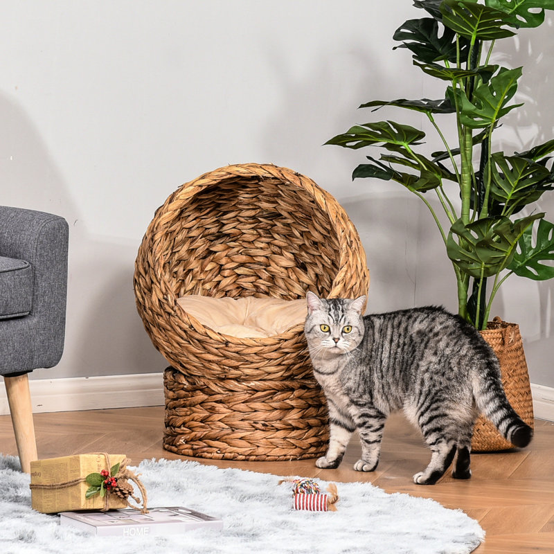Panier pour chat brun avec rembourrage confortable, pour chatons d'intérieur, lit surélevé de 23,5 po de hauteur, coussin