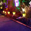 Décoration d'Halloween avec piquets de lanterne 0,6 pi Haunted Hill Farm
