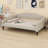Tareyn Upholstered Daybed