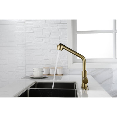 Single Pull-Out Faucet With Dual Spray In Spot Gold Stainless For Laundry Use, High Nozzle 360 Rotation, Corrosion And Stain, Simple Operation Water Function Stainless, Rotating Nozzle, Control, Dirt
