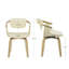 Upholstered Dining Chair-1227349222