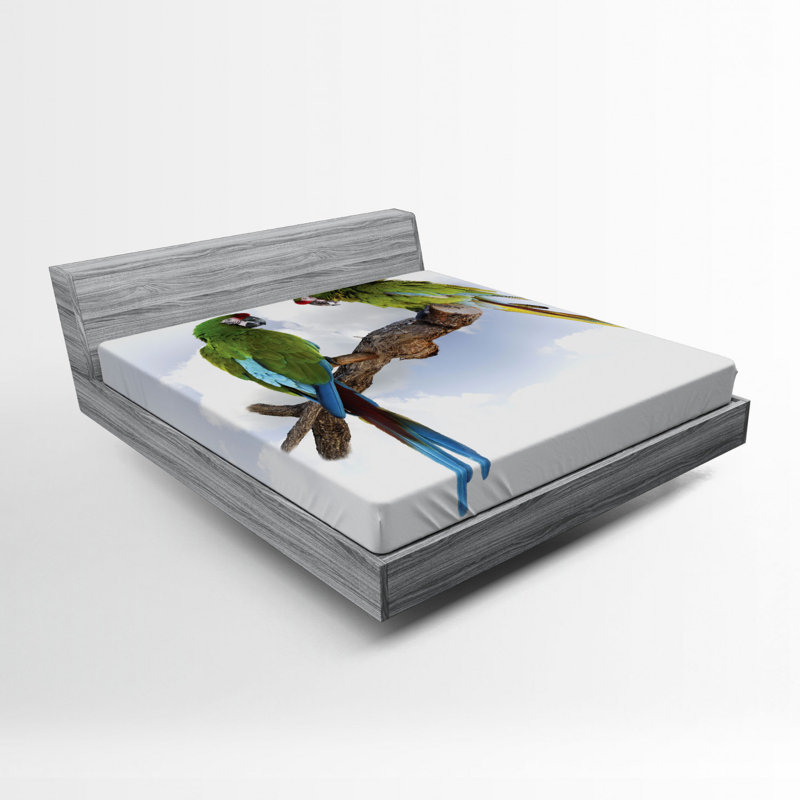 Drap-housse perroquet, Drap-housse grand
