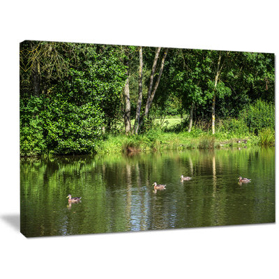 «Bushes and Trees in River Bank», reproduction de photo sur toile tendue
