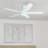 Ashby 52" Ceiling Fan with LED Light-2000651164