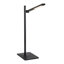 Schley Metal Desk Lamp-1066758412