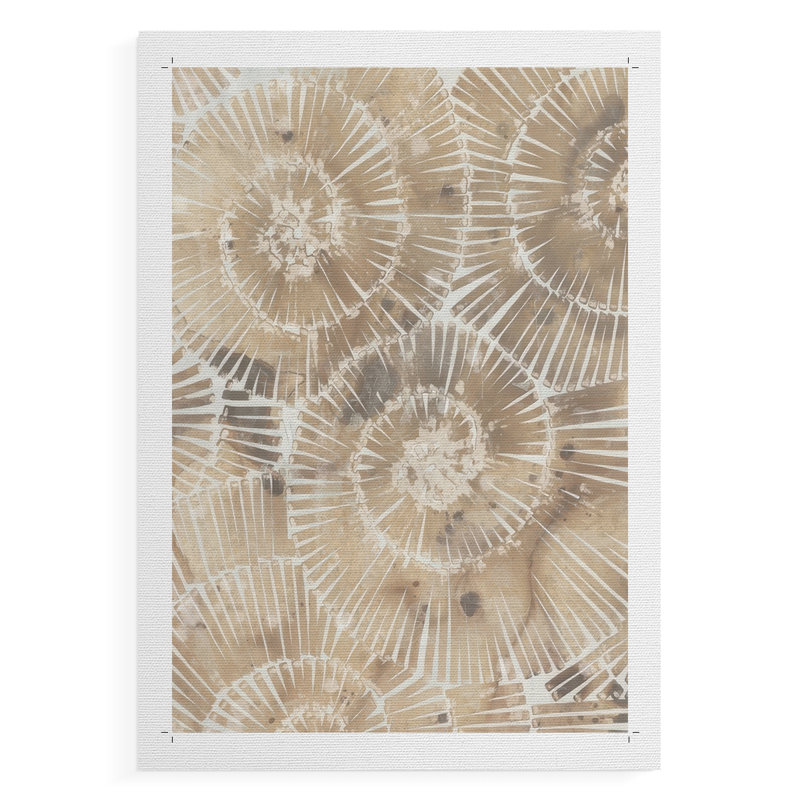 Fossil Nautilus I - Impression sur toile seulement - NON CADRE, H 48 po x l 32 po