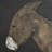 " Burro Noche " by Paul Meyer-101534134