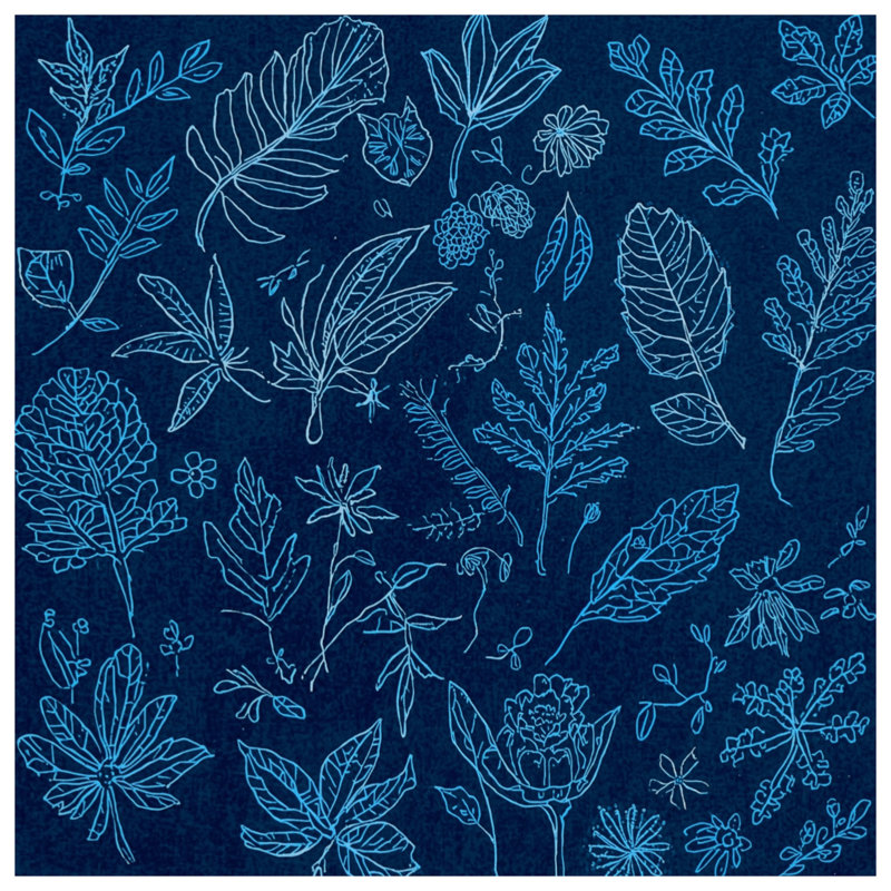Housses de couette Botanical Leaf Sketches, Lit simple