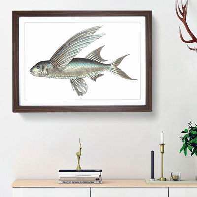 Flying Fish by George Shaw - Framed Print
