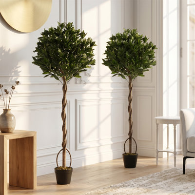 150 cm H Faux Tree Plant in Cement Freestanding Planter