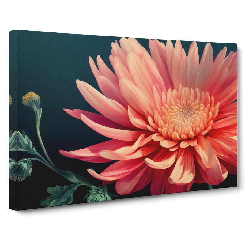 Timeless Chrysanthemum Flower - Wrapped Canvas, 35cm H x 50cm W x 3cm D