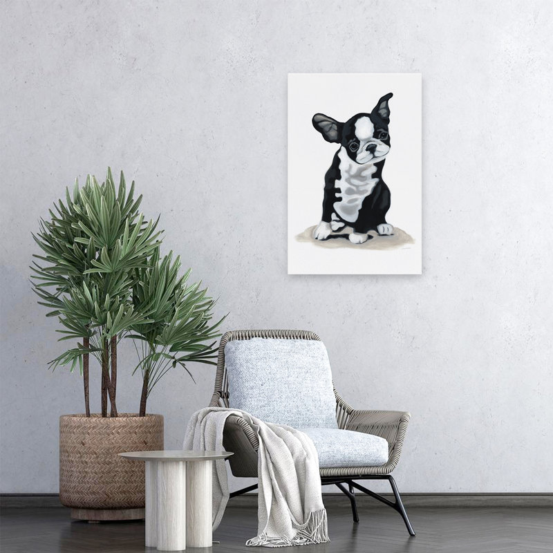 Chiot roule, animal contemporain, chien blanc et noir, bouledogue français, H 24 po x l 16 po