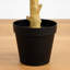 108 po Faux eucalyptus en pot