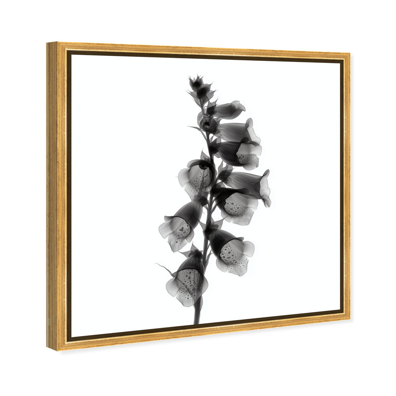 Ossified Petals II Print by Oliver Gal, 13"H x 13"W, Gold Floater Frame