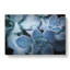 Pale Purple Succulent Plant In Abstract - Wrapped Canvas Print-55307708