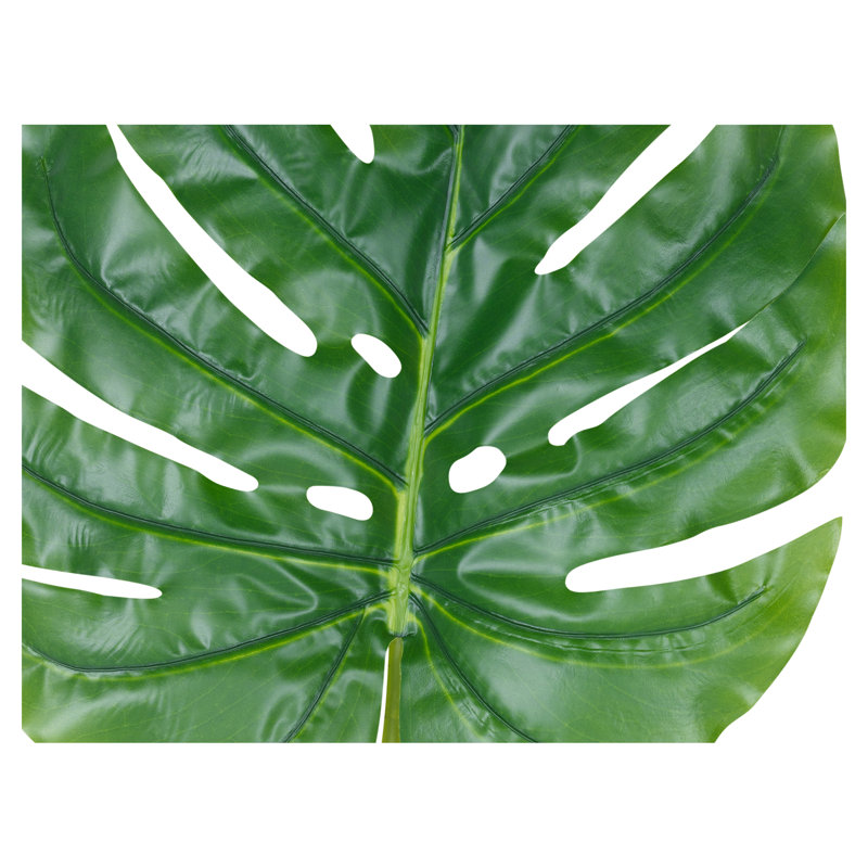 Skjalm Plant, 84cm H x 28cm W x 2cm D