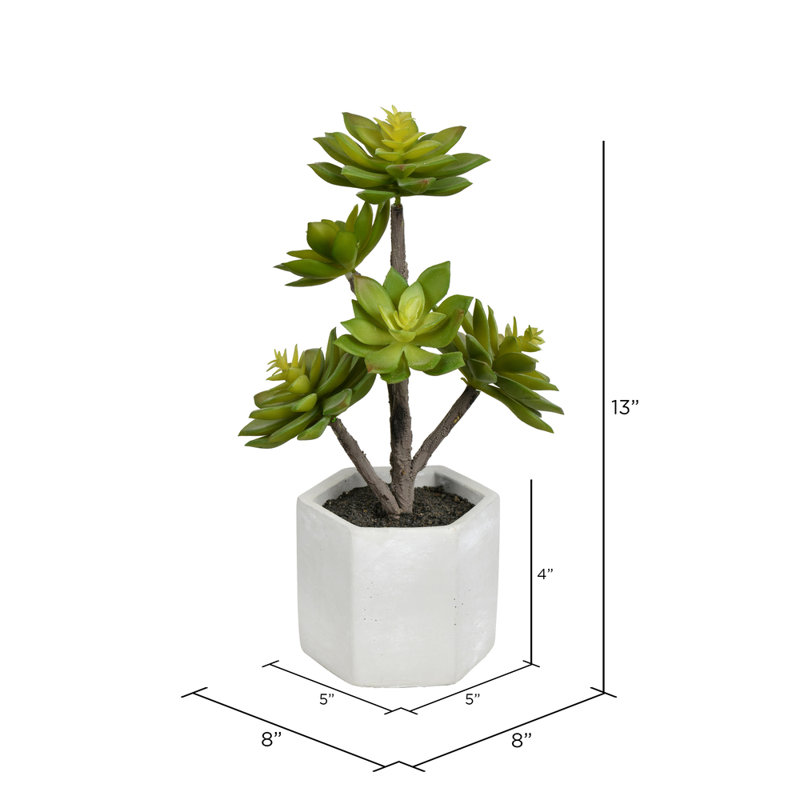 Plante grasse artificielle 13 po