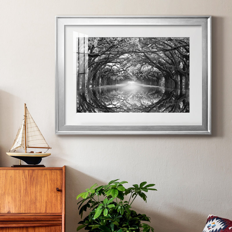 Oak Alley Reflection - photographie de cadre, H 22,5 po x l 30,5 po x P 1,5 po, Papier avec cadre argenté