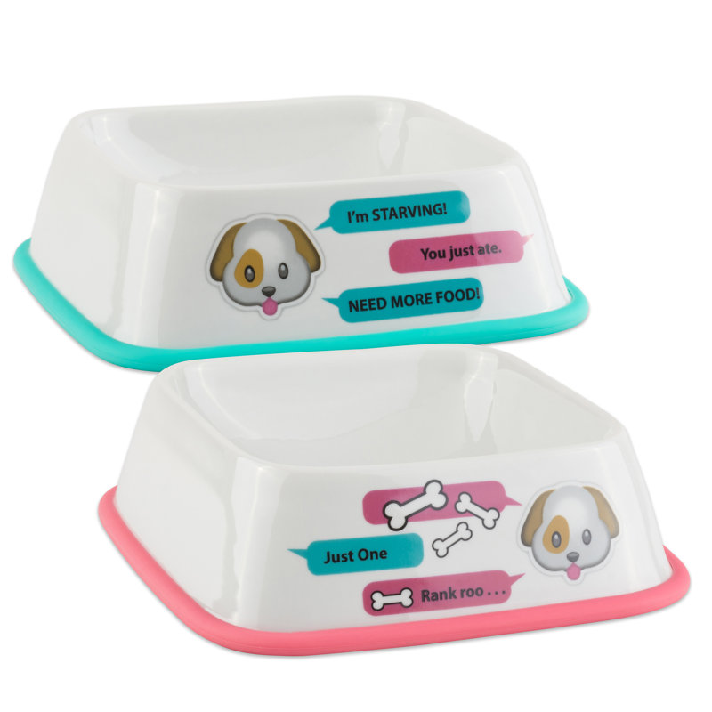 Bol pour animal de compagnie