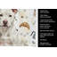 Torchon blanc Staffordshire Bull Terrier-1234934553