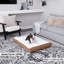 Lit pour chien avec coussin de soutien-794393521-794393529