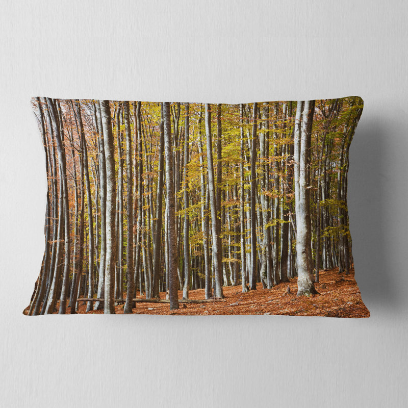 Bright Day in Thick Forest - Coussin décoratif imprimé forêt, Rectangle, 12 po x 20 po