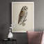 Lynden French Owls III - Reproduction de photo sur toile simple-88378267-88378268