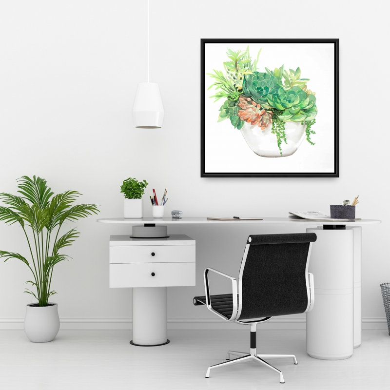 Assortiment de plantes grasses | Cadre blanc exotique