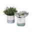 2 Piece Ceramic Cachepot Set