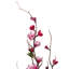 Arrangement floral fleurs de cerisier pêche